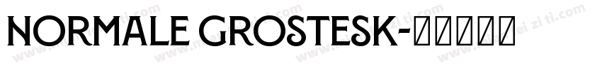 Normale Grostesk字体转换